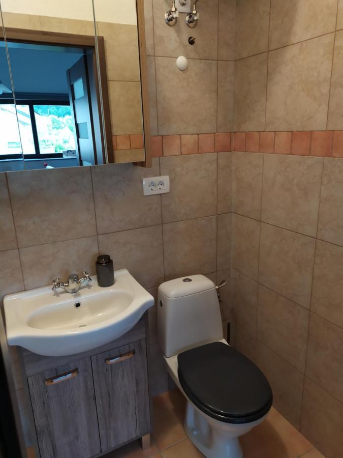 Gostilna Ulcar Hotel Ig Exterior foto